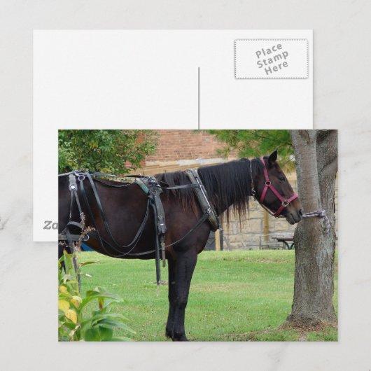 Gewartet Postkarte (Vorne/Hinten)