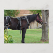 Gewartet Postkarte (Vorderseite)