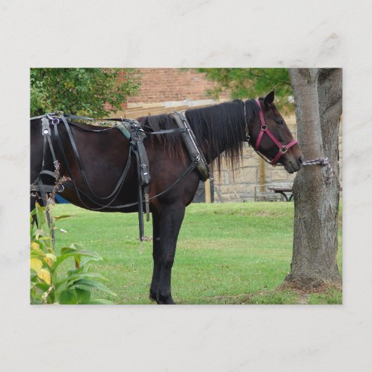 Gewartet Postkarte (Vorderseite)