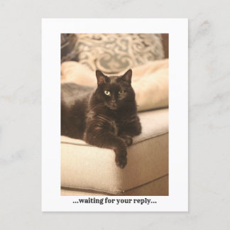 ...gewartet...Postkarte Feiertagspostkarte