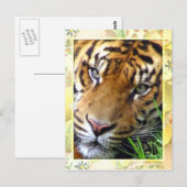 Gewartet/Vermisst Sie_ Postkarte (Vorne/Hinten)