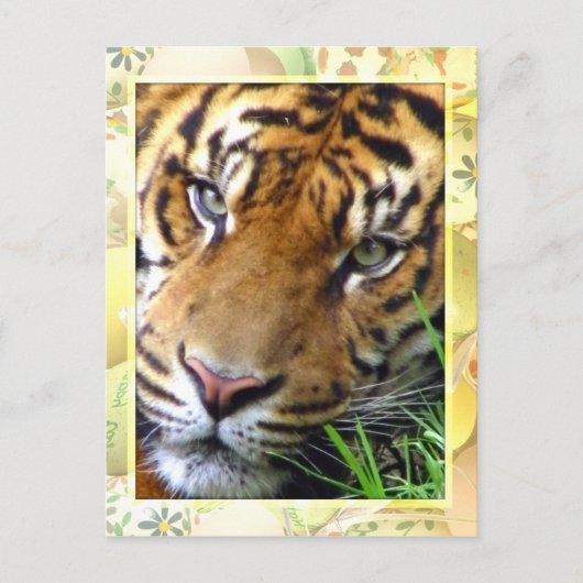 Gewartet/Vermisst Sie_ Postkarte (Vorderseite)