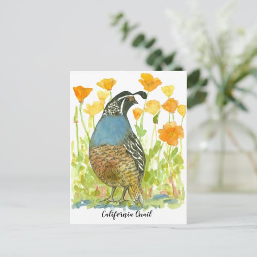 Gewässer California Poppies Quail Bird Postkarte (Stehend Vorderseite)