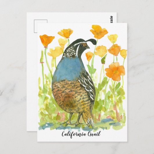 Gewässer California Poppies Quail Bird Postkarte (Vorne/Hinten)