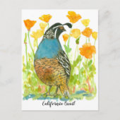 Gewässer California Poppies Quail Bird Postkarte (Vorderseite)