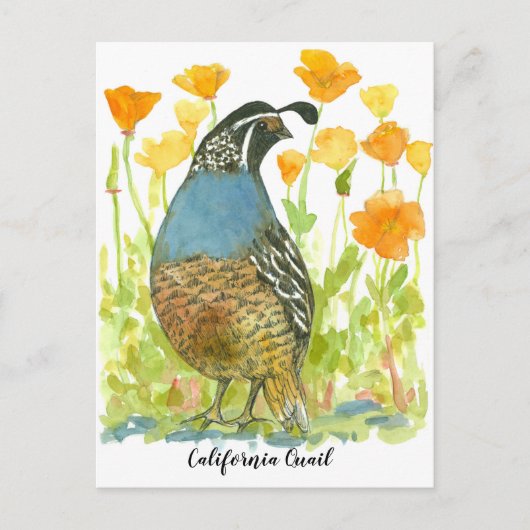 Gewässer California Poppies Quail Bird Postkarte (Vorderseite)