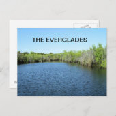 GEWÄSSER DER EVERGLADES POSTKARTE (Vorne/Hinten)