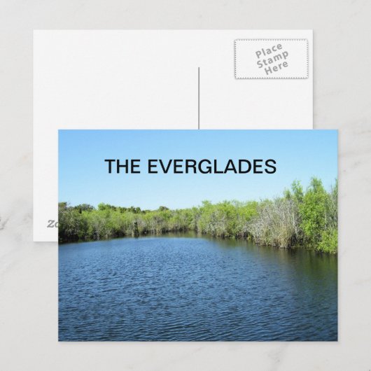 GEWÄSSER DER EVERGLADES POSTKARTE (Vorne/Hinten)