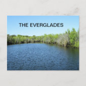 GEWÄSSER DER EVERGLADES POSTKARTE (Vorderseite)
