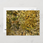 Gewässer der Kaweah Abstrakte Natur Postkarte (Vorne/Hinten)