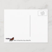 Gewässer der Kaweah Abstrakte Natur Postkarte (Rückseite)