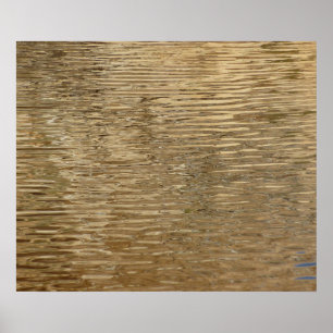 Gewässer des Barker-Staudamms im Joshua-Tree-Natio Poster