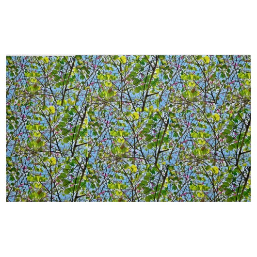 Gewebe: Baumwollbehälter (Breite 58") Stoff (Fat Quarter (45,7 x 55,9 cm))