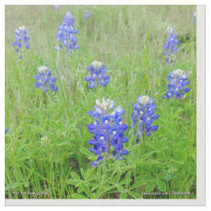 Gewebe - blaue Mützen Stoff