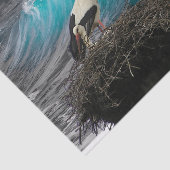 Gewebe Geschenkpapier mit Ozean und Nesting Bird Seidenpapier (Ausschnitt)