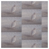 Gewebe mit Chukar Entwurf Stoff (Muster)