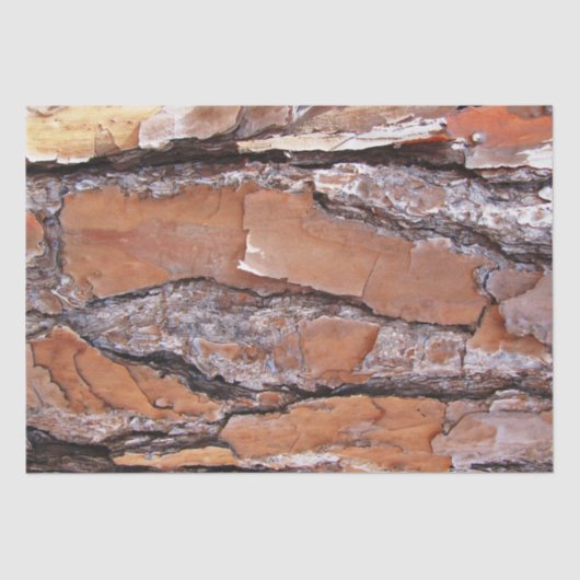 Gewebepapier - Kiefernrinde Seidenpapier (Vorderseite)