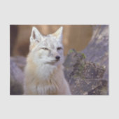 Gewebepapier Korsac Fox Seidenpapier (Vorderseite)