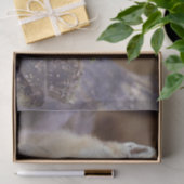 Gewebepapier Korsac Fox Seidenpapier (Geschenk)