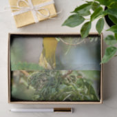 Gewebepapier mit Bild des Weaver Bird Seidenpapier (Geschenk)