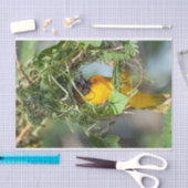 Gewebepapier mit Bild des Weaver Bird Seidenpapier (Handwerk)
