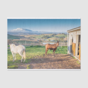 Gewebepapier mit Bild von arabischen Pferden Seidenpapier