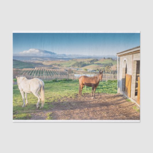Gewebepapier mit Bild von arabischen Pferden Seidenpapier (Vorderseite)