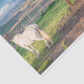 Gewebepapier mit Bild von arabischen Pferden Seidenpapier (Ausschnitt)
