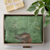 Gewebepapier mit Bild von Baby Impala Seidenpapier (Geschenk)