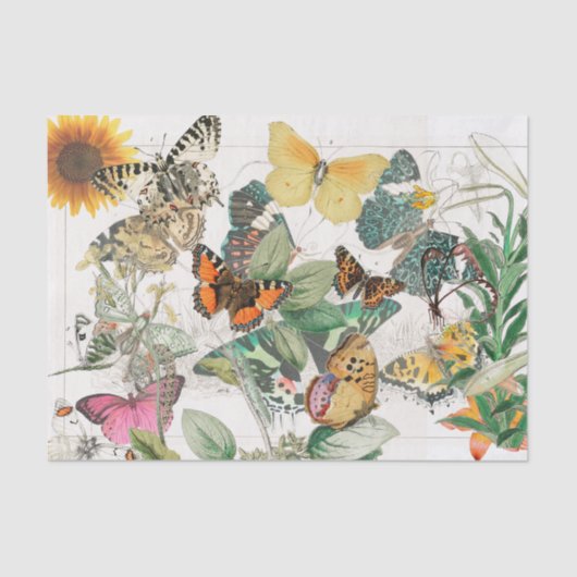 Gewebepapier Schmetterling Sonnenblume Seidenpapier (Vorderseite)