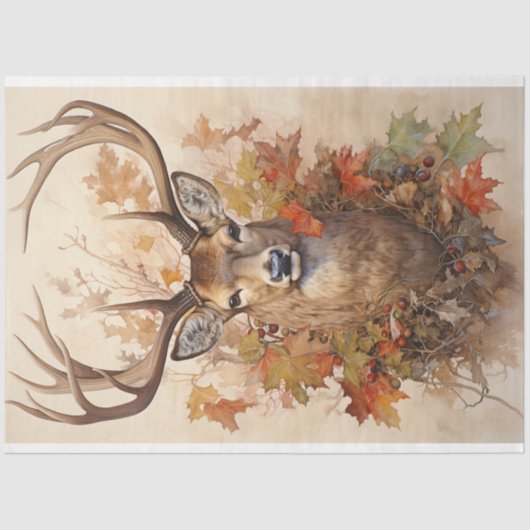 Gewebepapier Seidenpapier (Vorderseite)