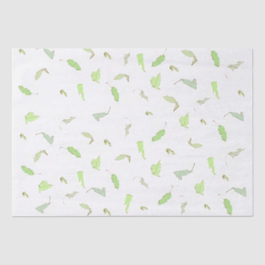 Gewebepapier Seidenpapier (Vorderseite)