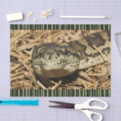 Gewebepapierschlangen Seidenpapier (Handwerk)