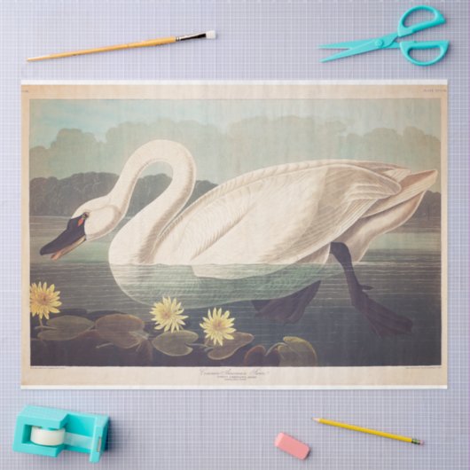 Gewebtes oder Dekoupage-Papier austauschen Seidenpapier (Basteln)