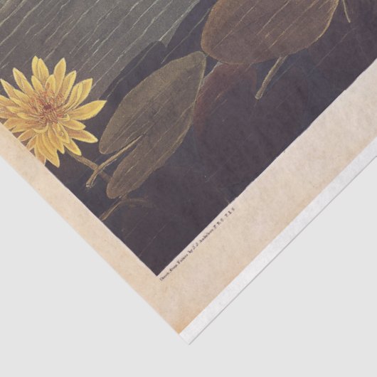 Gewebtes oder Dekoupage-Papier austauschen Seidenpapier (Ausschnitt)