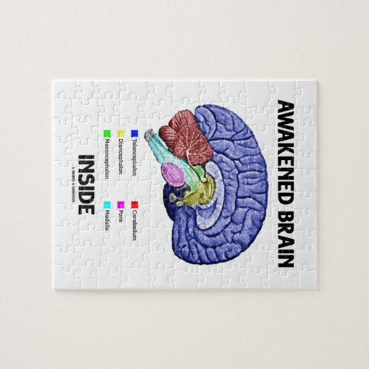 Gewecktes Gehirn-Innere (Gehirn-Anatomie) Puzzle (Horizontal)