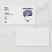 Gewecktes Gehirn-Innere (Gehirn-Anatomie) Visitenkarte (Vorne/Hinten)