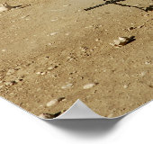 Gewehr der US-Marine M-4 und M-16A2 Poster (Ecke)