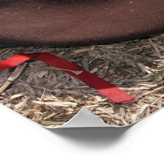 Gewehr, militärische Abdeckung und Kantine Poster (Ecke)