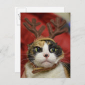Geweihe eines tragende Rens der Katze Postkarte (Vorne/Hinten)
