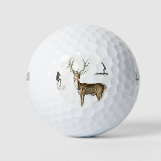 Geweihe, Hirsche, Natur, Jagd, Tiere, Schafe, wild Golfball (Vorderseite)