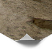 Geweihter Druck Poster (Ecke)