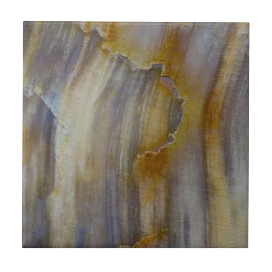 Gewelltes versteinertes Holz Fliese (Vorderseite)