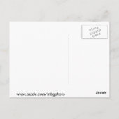 Gewerkschaft Postkarte (Rückseite)