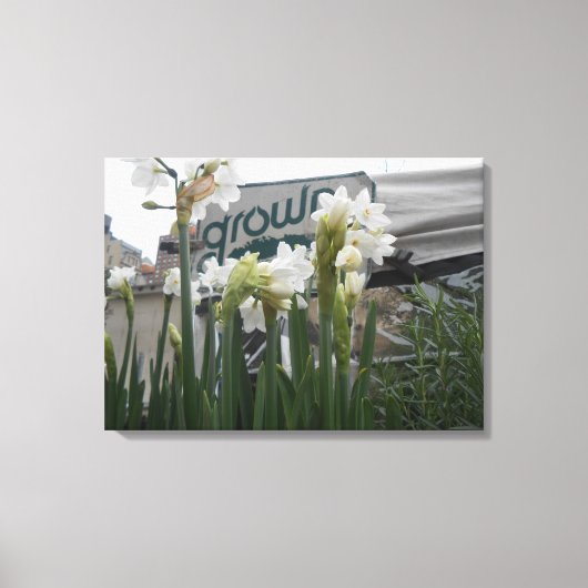 Gewerkschaft Square, New York City, USA Leinwanddruck (Vorderseite)