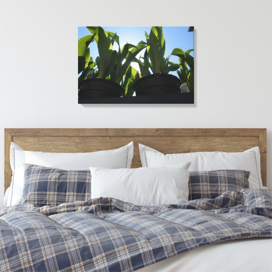 Gewerkschaft Square, New York City, USA Leinwanddruck (Insitu (Schlafzimmer))