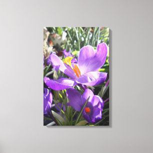 Gewerkschaft Square, New York City, USA Leinwanddruck