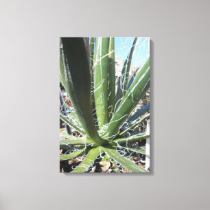 Gewerkschaft Square, New York City, USA Leinwanddruck