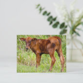 Gewerkschaft Vale Postkarte (Stehend Vorderseite)