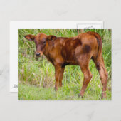 Gewerkschaft Vale Postkarte (Vorne/Hinten)